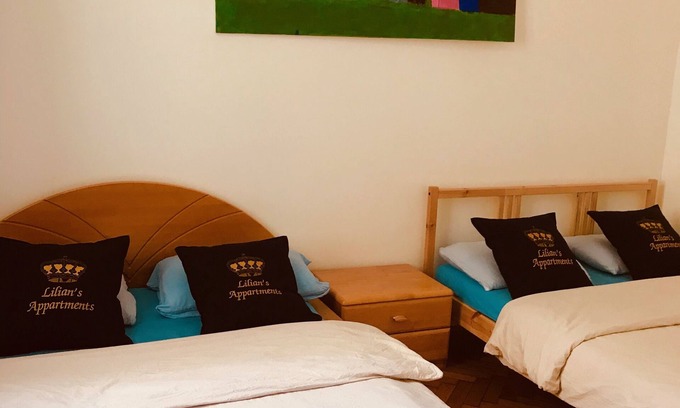 Graz City Centre Apartment | Lilians modern apartment in historical city center