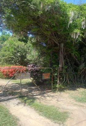 Hogsback House | Liquid Amber