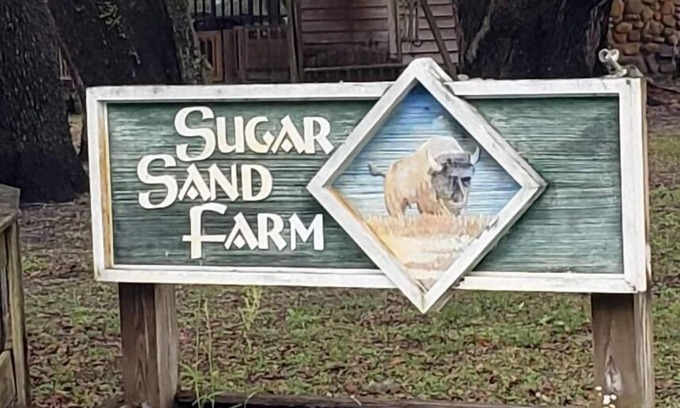 Perry House | Little Fish House Casita de Peces Sugar Sand Farm