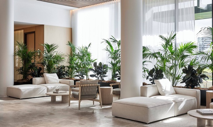 Newcastle Hotel | Little National Hotel Newcastle