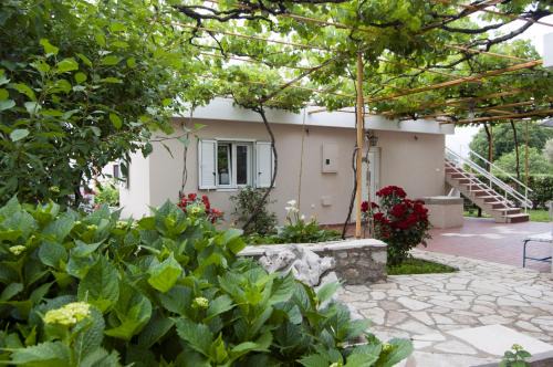 Radovici Apartment | Little Nautilus