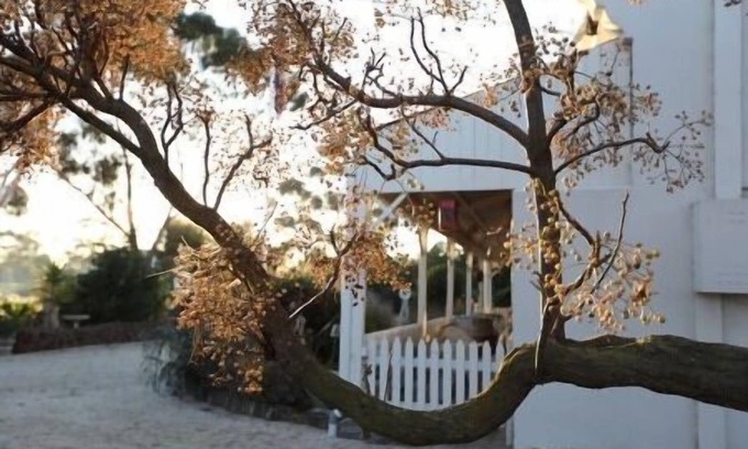 Little River Bed & Breakfast | Little River Bed & Breakfast