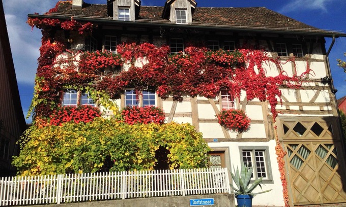 Andelfingen District Apartment | Living in a house with 300 Years history , 2 minutes to Rheinfall
