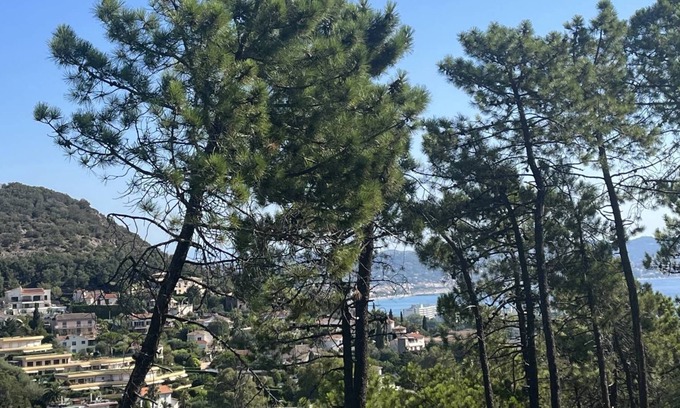 La Napoule House | Location de Vacances Villa Exceptionnelle Avec Superbe vue Mer