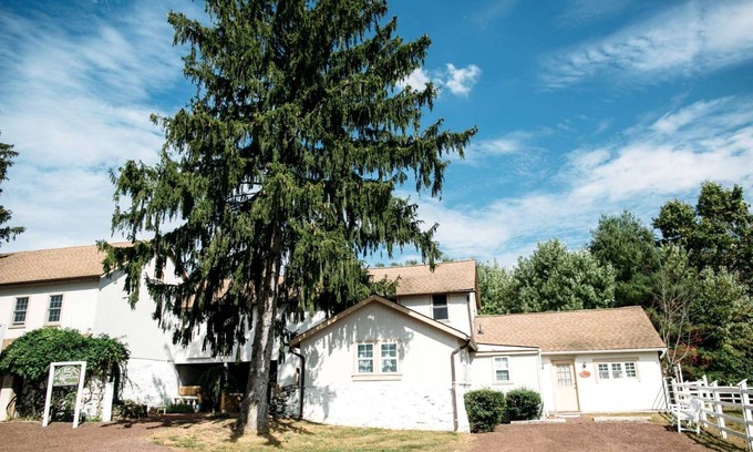 Holicong Cabin | Lodge ∙ 1 bedroom ∙ 2 guests