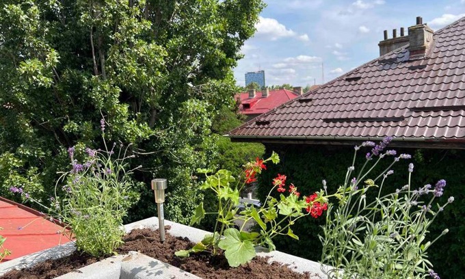 Bucharest Apartment | Loft Villa Floreasca