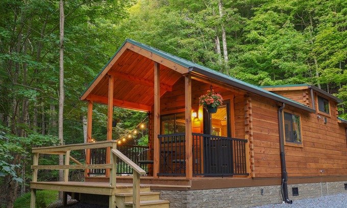 Allegheny Mountains Cabin | LogCabin w/hot tub l borders Mon. National Forest