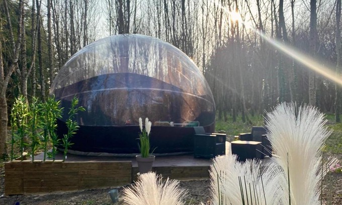 Saint-Evarzec Other | Logement insolite "Bubble jungle"