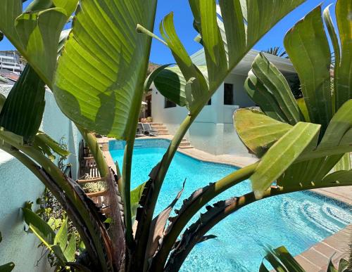 Sea Point Bed & Breakfast | LOLOHO LODGE - 24h solar power