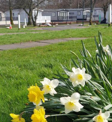 Balloch Resort | Lomond Woods Holiday Park