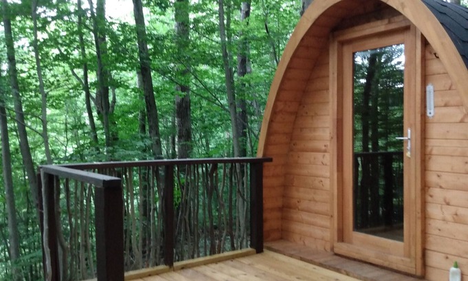 Dryden Cabin | Lookout Camping Pod