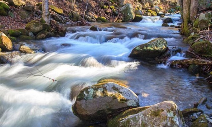 Rocky Grove Cabin | Love Shack: Pet Friendly, Free Attraction Tickets, Hot Tub, Creek Views
