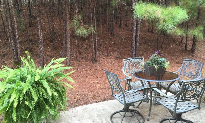 Hoover House | Lovely 4 Bed 3 Bath Town Home Conveniently to RTJ Golf, Hoover Met & college’s