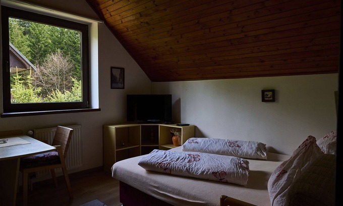 Harrachov Apartment | Lovely apartment for 4 guests with WIFI, TV and pets allowed