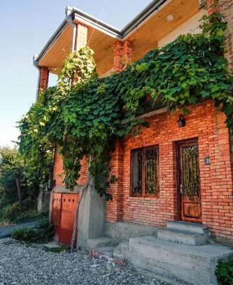 Sighnaghi House | Luca Lili
