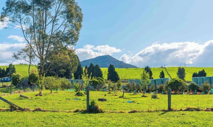 Pukawa House | Lush Escape - Lake Taupo Holiday Home