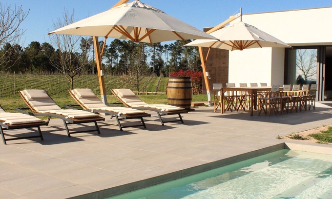 Viseu Other | Lusus Wine House