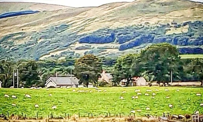 Fossoway Cabin | Luxurious Room Only - Rural Location - The Wee Stay - Perth and Kinross