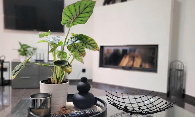 Orschweier Apartment | Luxury Appartement Marz, Europa Park- Rulantica
