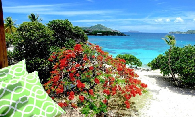 Red Hook Condo | ★ Luxury Condo at Sapphire Beach Resort and Marina - WiFi I