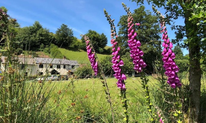 Exford House | Luxury Exmoor Barn conversion with Sauna