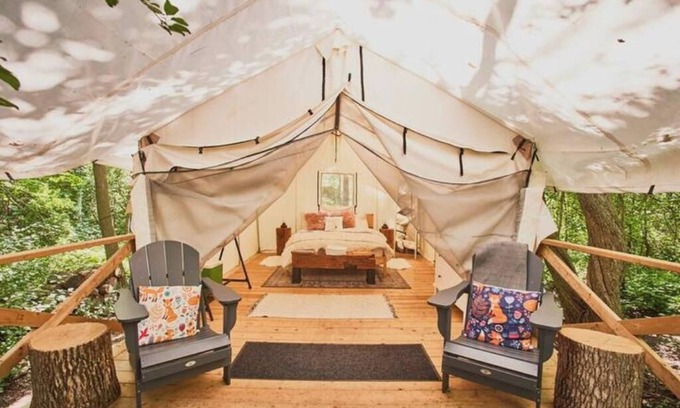 Elora Cabin | Luxury Glamping on Elora Sunflower Farm - Fox