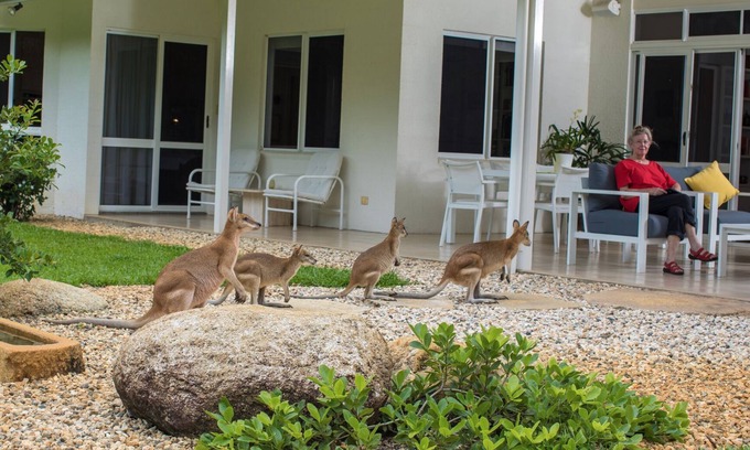 Clifton Beach House | Luxury Home in Nature surrounded by Wallabies