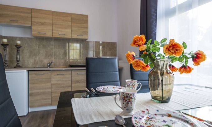 Psie Pole Apartment | Mała Italia Apartments