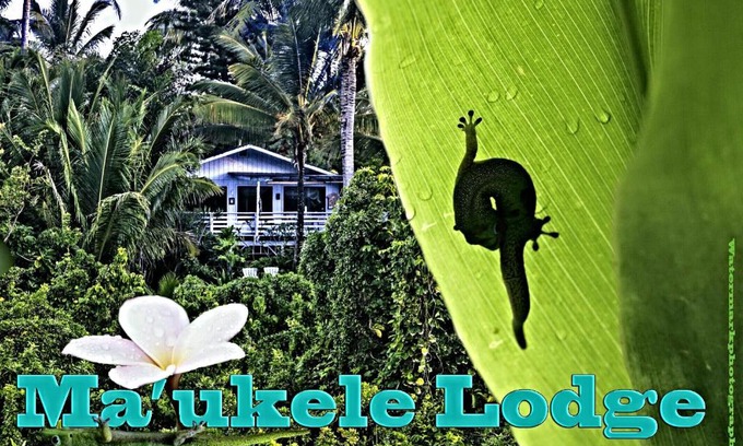 Kalapana Bed & Breakfast | Ma'ukele Lodge
