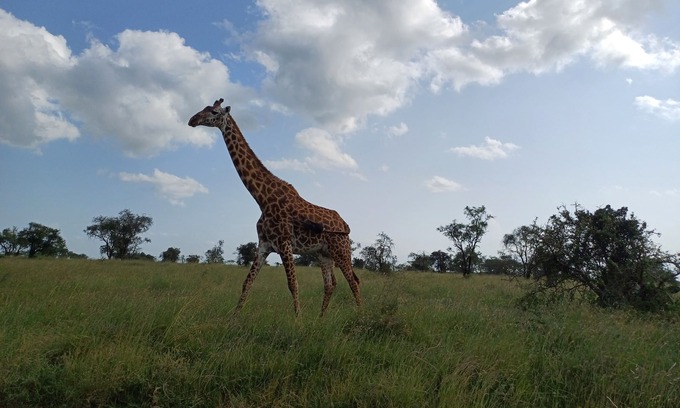 Embakasi Cottage | Maanzoni Tented Cottage African Wildlife Estate