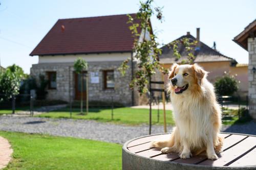 Tokaj House | Madárdalos Kert és Vendégház