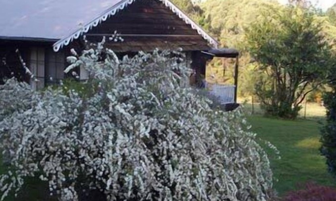 Kurrajong Heights Cottage | Madison's Mountain Retreat