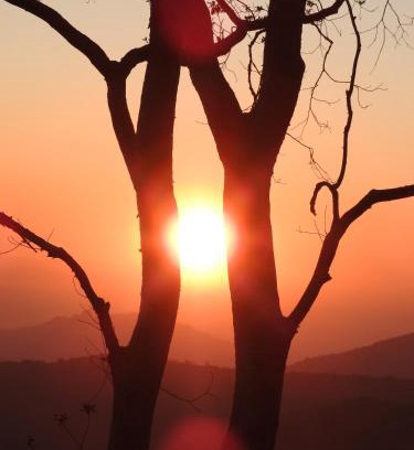 Mutare Cabin | Madrugada
