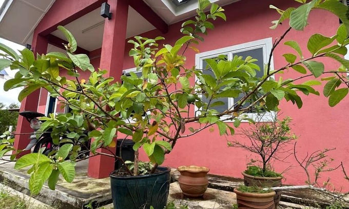 Setiu Bed & Breakfast | Mahasa Penarik Homestay
