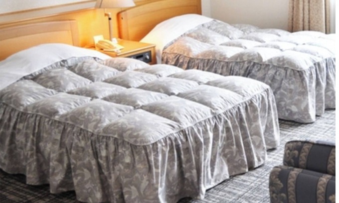 Nakaniikawa-gun Hotel | Main building twin room dinner only Ideal for /Toyama Toyama