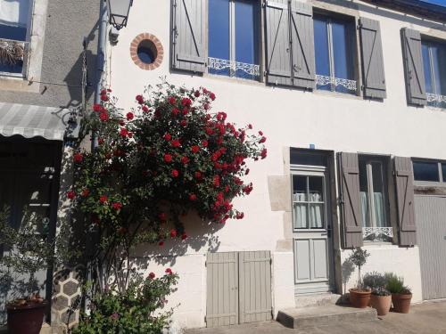 Charroux House | Maison authentique avec jardin clos, verrière et vélos à Charroux - FR-1-489-538