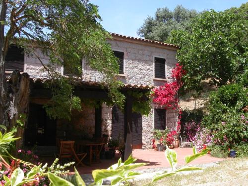Sartene Bed & Breakfast | Maison d'Hôtes de Charme de Croccano