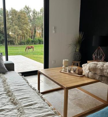 Lacquy House | Maison dans les bois