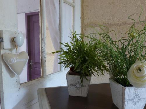 Vayres House | Maison du Bonheur