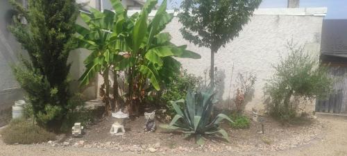Tournon-Saint-Martin House | maison grand parking
