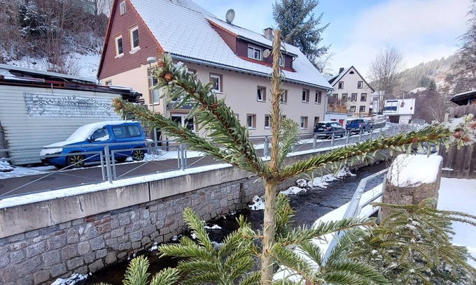Lenzkirch Apartment | Maisonette "haus an der Haslach"