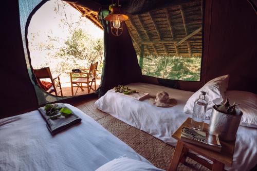 Maji Moto Other | Maji Moto Eco Camp