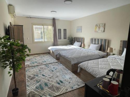 Giza Bed & Breakfast | Malek Pyramids Guest House