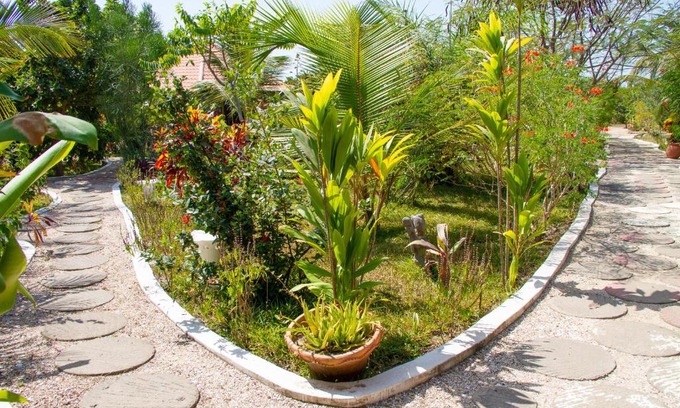 Tanji Hotel | Mama Africa Art Residence & Art Center Gambia