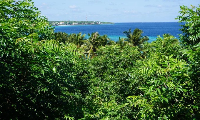 Bira Resort | Mangga Lodge