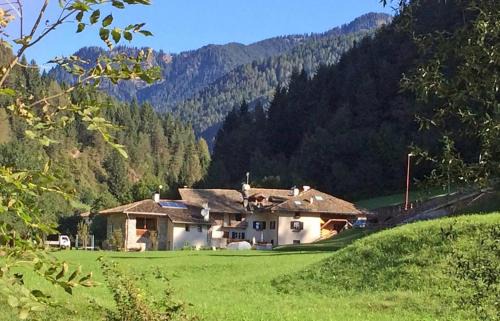 Castello-Molina di Fiemme Apartment | Mansarda Ai Tigli
