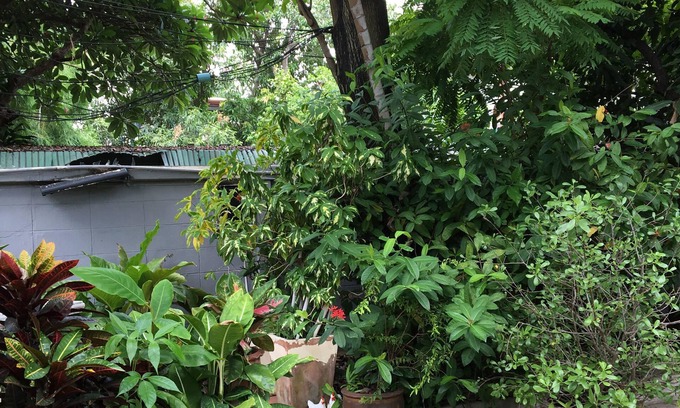 Thung Maha Mek House | Many Trees