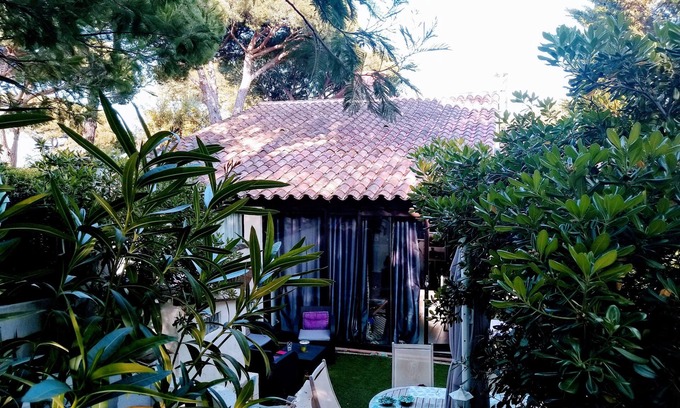 Cogolin House | Maora's guest house.