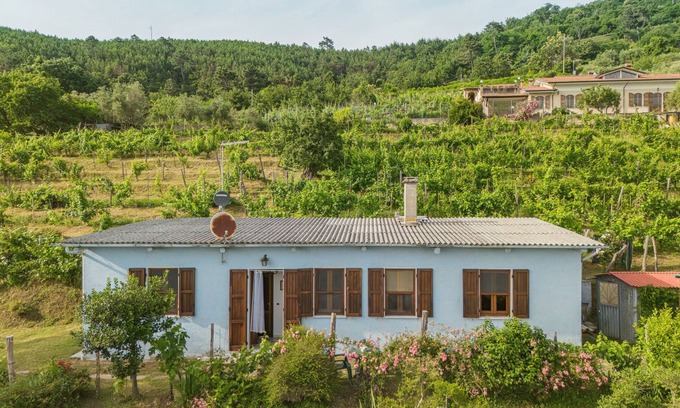 Montignoso House | Margherita by Interhome