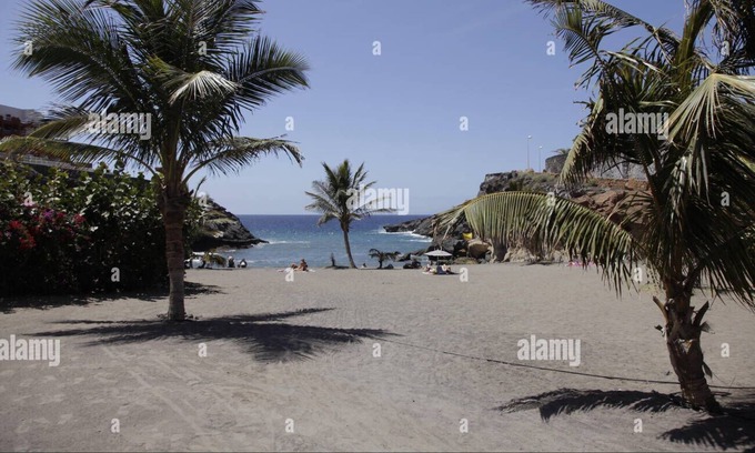 Playa Paraiso Apartment | Marina Palace Apartment